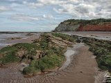 Blue Anchor Bay, Somerset   2016-09-01-016-DSC 8587-PSDetEx-2048-Sig  Blue Anchor Bay, Somerset