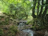 Robber's Bridge, Doone Valley, Somerset   2017-09-05-006-DSC 8917-PSDetEx-2048-Sig  Robber's Bridge, Doone Valley, Somerset